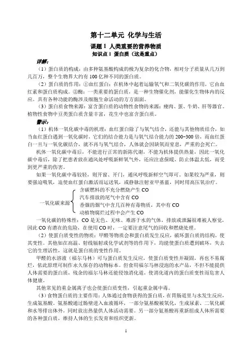 九年级化学下册第十二单元重难点