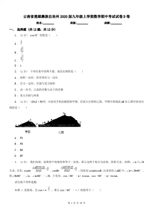 云南省楚雄彝族自治州2020版九年级上学期数学期中考试试卷D卷