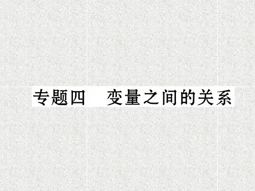 数学七下专题四作业课件131