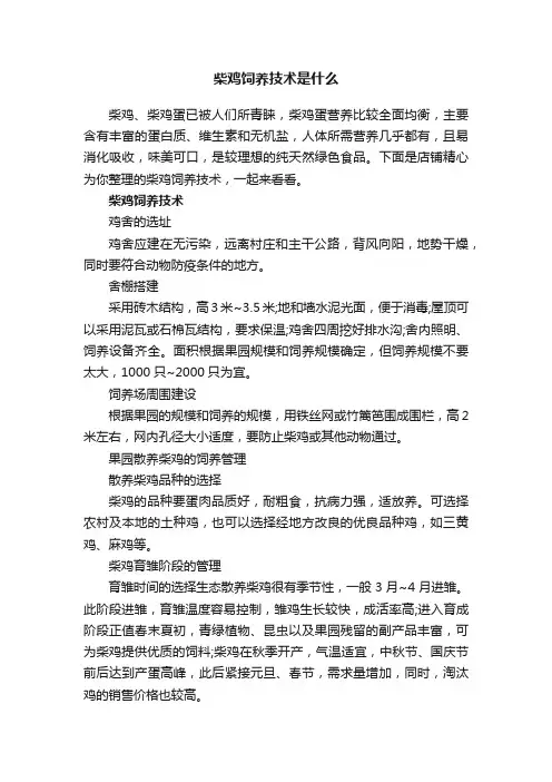 柴鸡饲养技术是什么