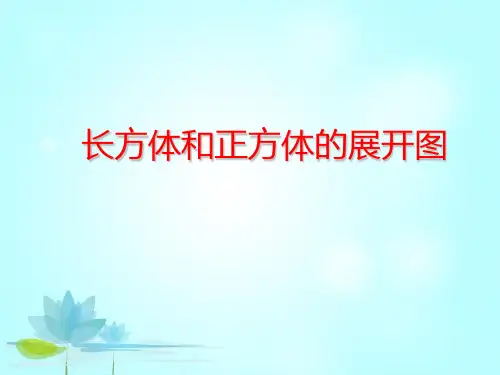 长方体和正方体的展开图1