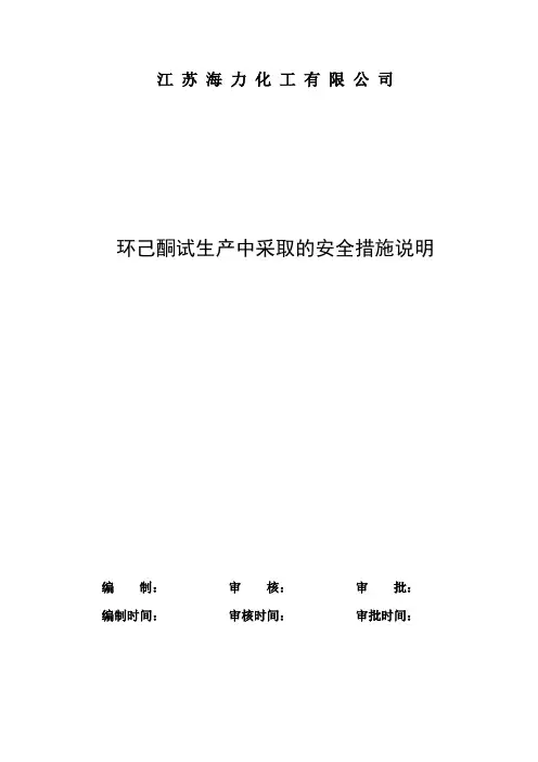 (安全生产)2020年环己酮采取的安全措施说明