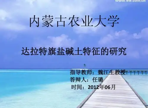 任璐--内蒙古达拉特旗盐碱土特征研究