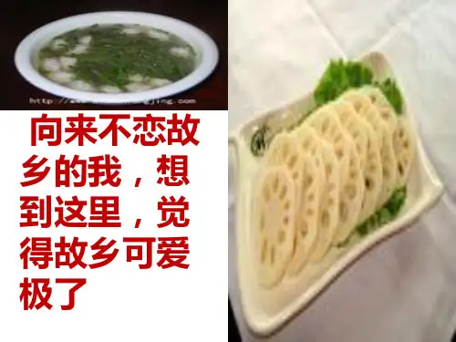 七年级语文藕与莼菜