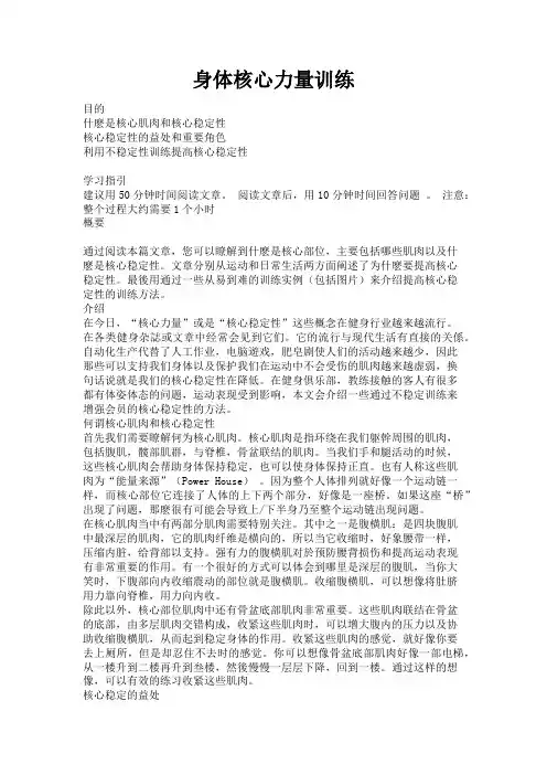 身体核心力量训练