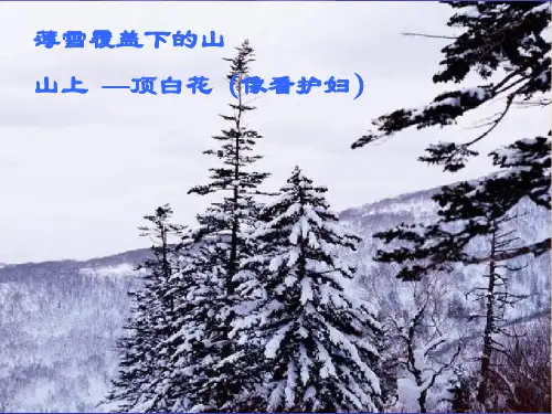 济南的冬天