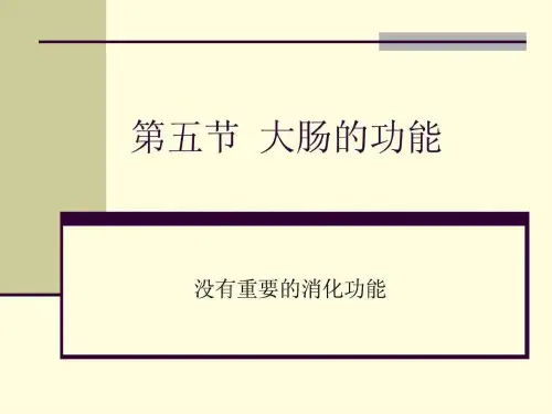 第五节 大肠的功能.ppt49-17页PPT精选文档