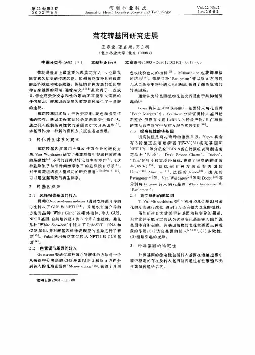 菊花转基因研究进展