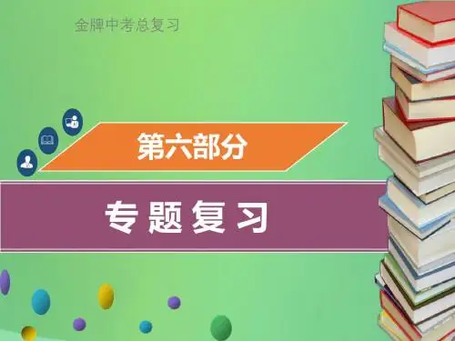 (金牌中考)广东省2018年中考化学总复习第六部分专题复习专题二物质的推断与转化课件