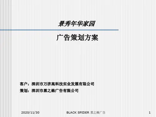 某公司广告策划方案