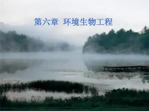 第六章 环境生物工程