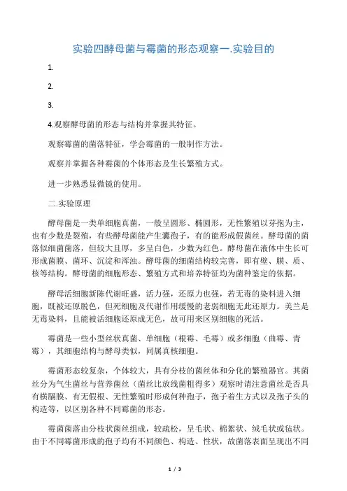 微生物实验：酵母菌与霉菌的形态观察