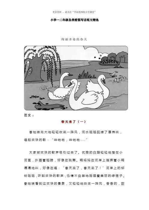 小学一二年级各类看图写话范文50篇精选