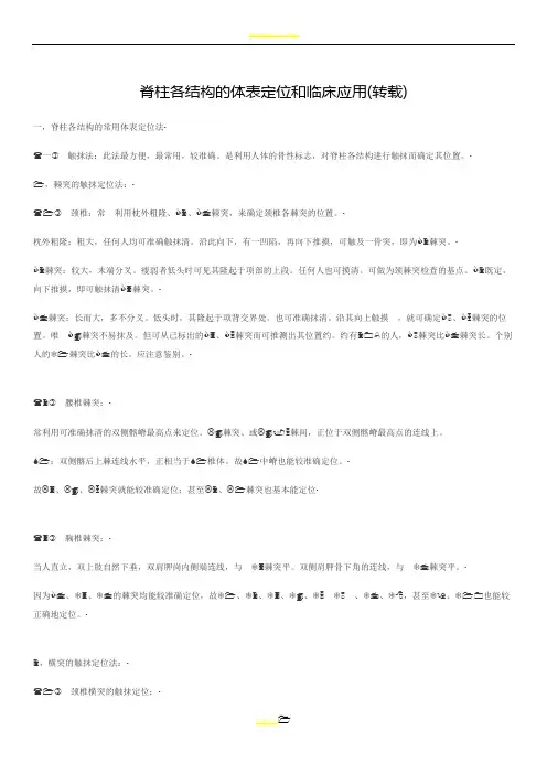 脊柱各结构的体表定位 2