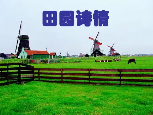 田园诗情课件