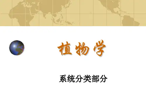 植物学 系统分类部分