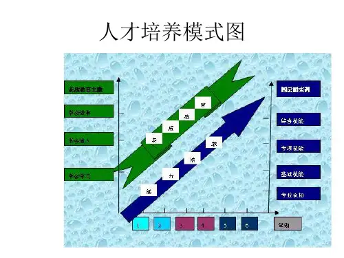 人才培养模式图.ppt