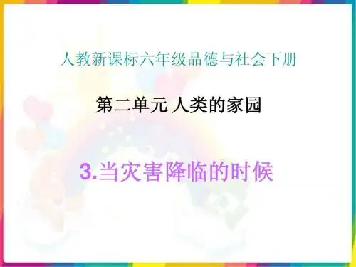 品德与社会六下当灾害降临的时候