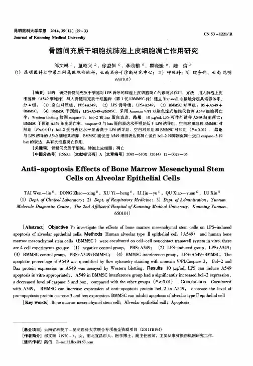 骨髓间充质干细胞抗肺泡上皮细胞凋亡作用研究