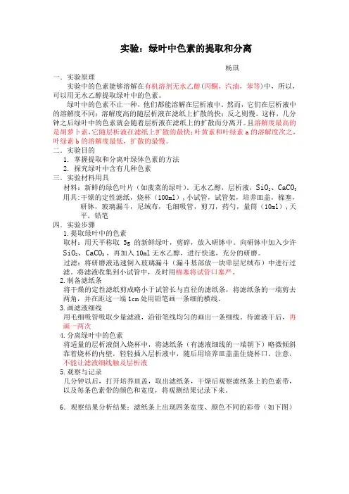 绿叶中色素的提取和分离