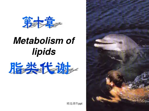 《脂类代谢》PPT课件