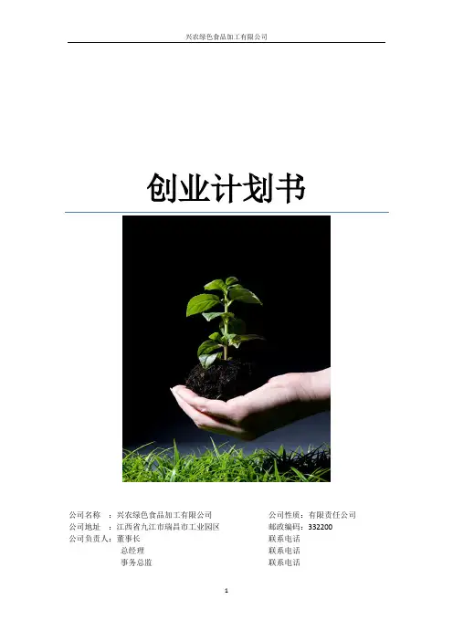 创业计划书 2