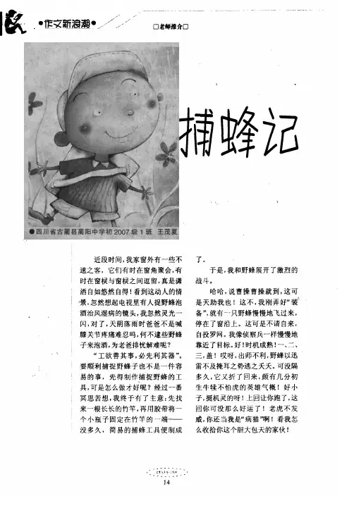 捕蜂记