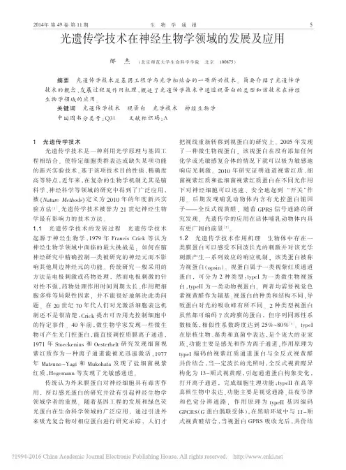光遗传学技术在神经生物学领域的发展及应用_邴杰