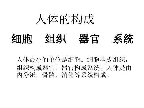 什么是细胞营养医