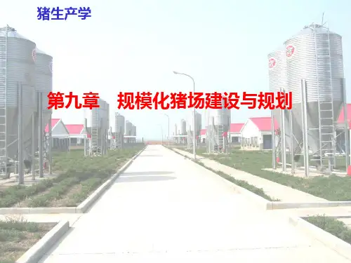 现代化猪场建设与规划