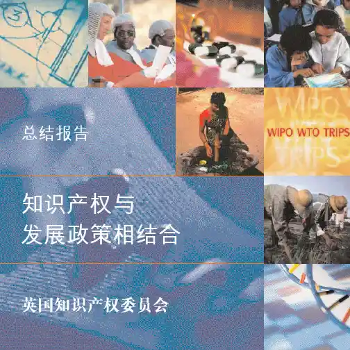 英国知识产权委员会：《知识产权与发展政策相结合》  的【总结报告】