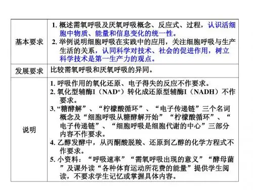细胞呼吸