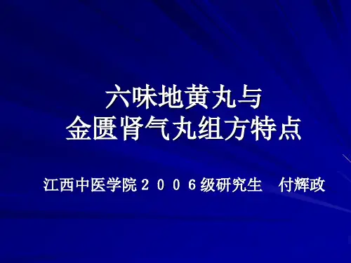 六味地黄丸2