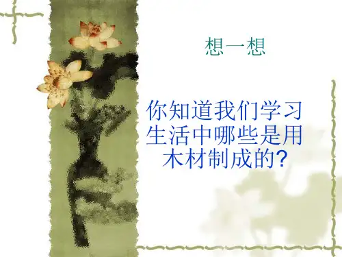 五六年级小木工