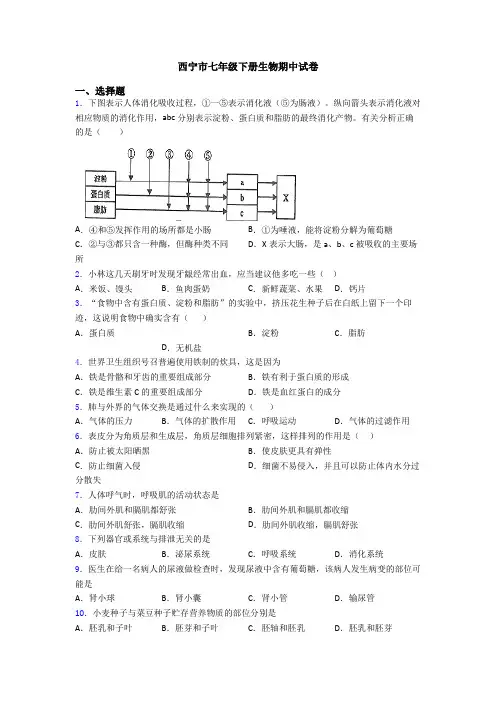 西宁市七年级下册生物期中试卷