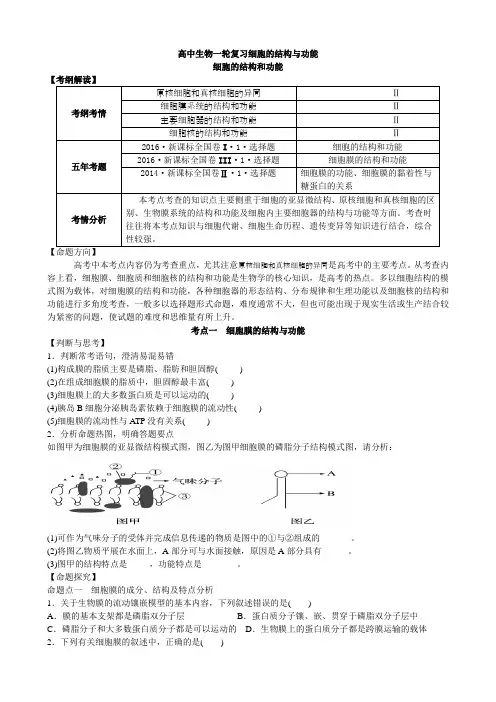 高中生物一轮复习细胞的结构与功能