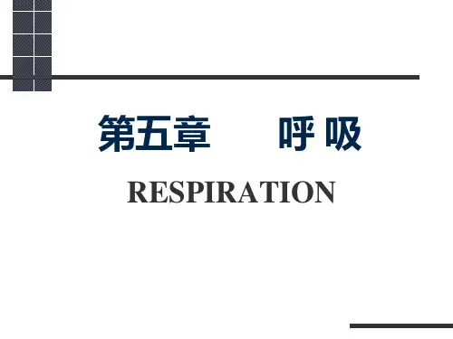第五章  呼吸