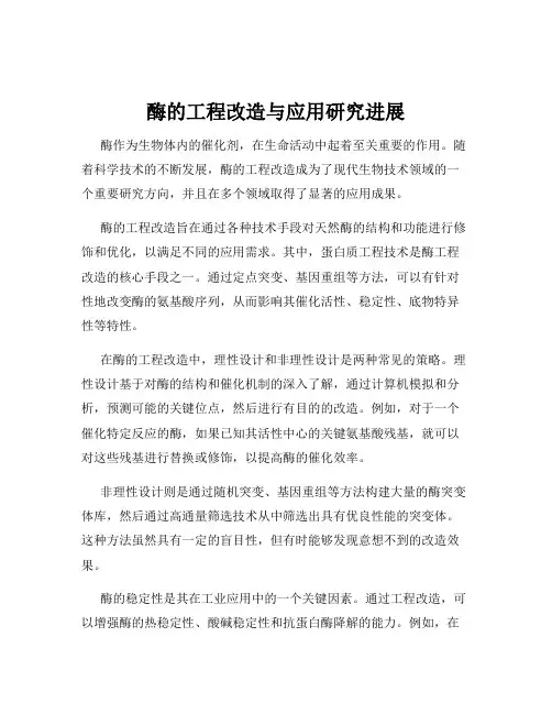 酶的工程改造与应用研究进展