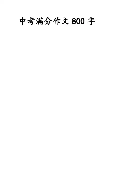中考满分作文800字