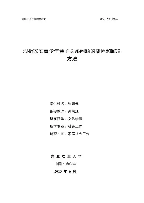 家庭社会工作论文