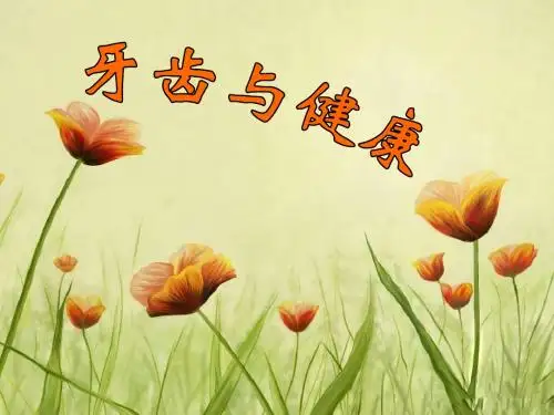 三年级上册综合实践—牙齿与健康