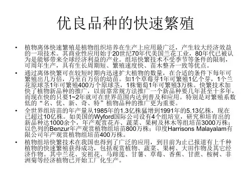 植物组织培养的应用