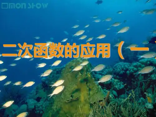中考复习专题-二次函数应用题PPT课件