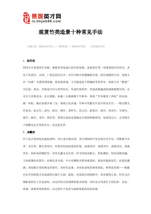 观赏竹类造景十种常见手法
