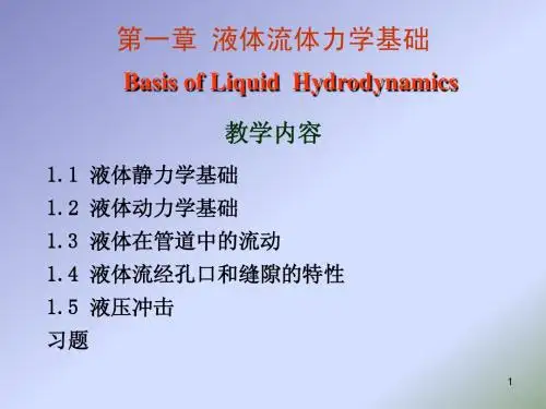 流体力学基础