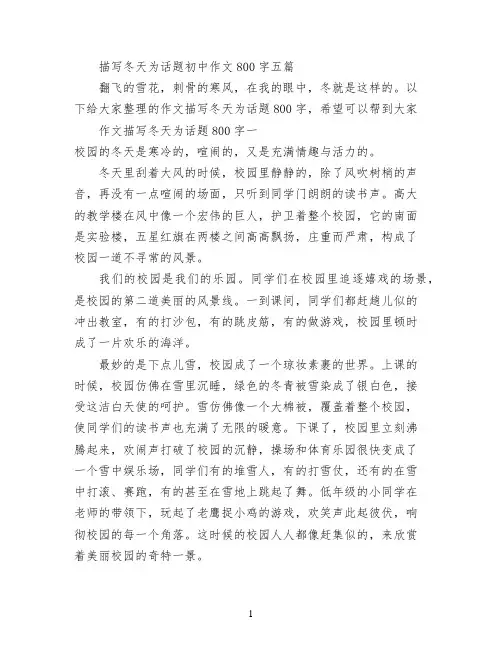 描写冬天为话题初中作文800字五篇