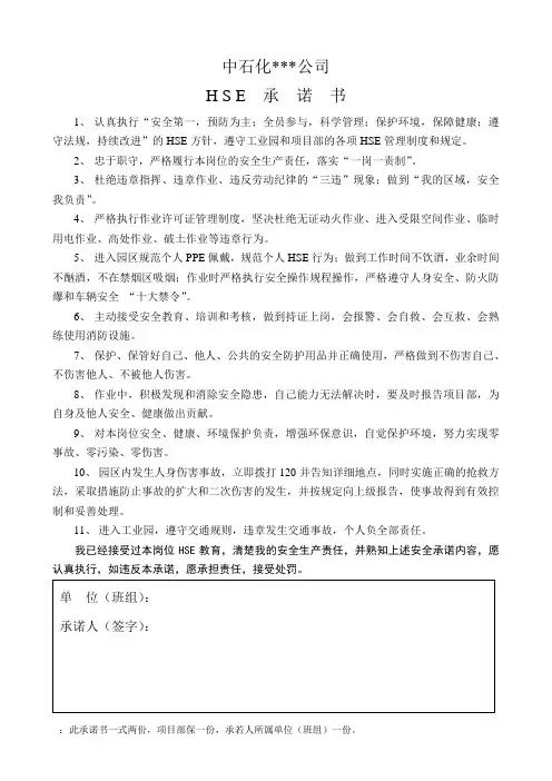 HSE承诺书 2