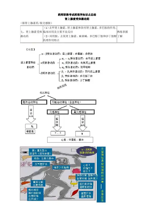 药师职称考试药理学知识点总结肾上腺素受体激动药