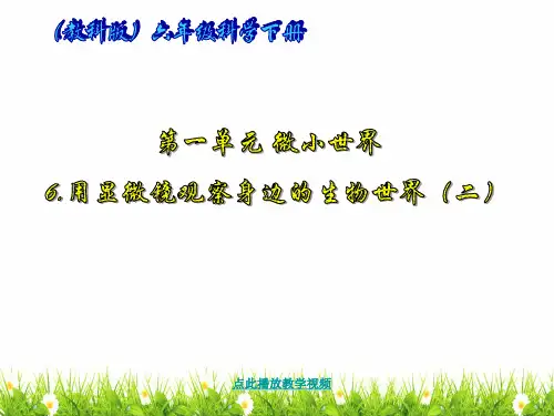 (新编)最新科教版小学六年级科学下册《用显微镜观察身边的生命世界(二)》精品课件
