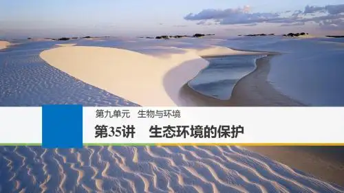 生态环境的保护2019